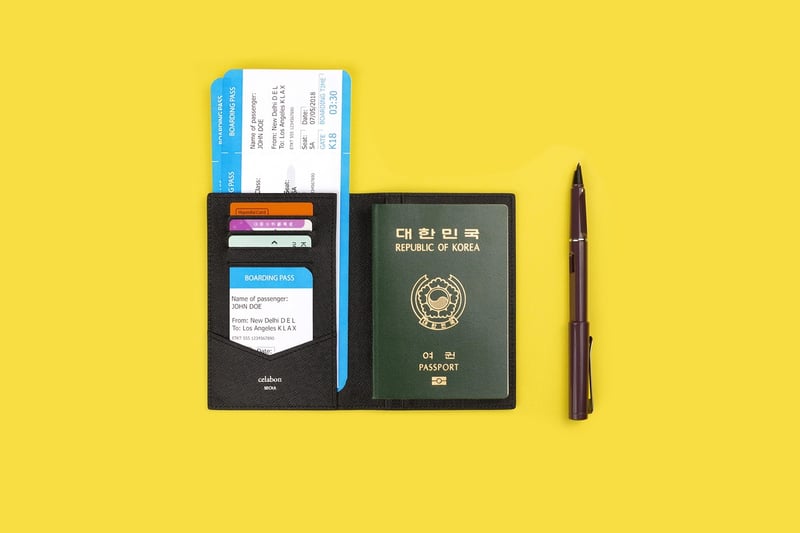 Travel Wallet